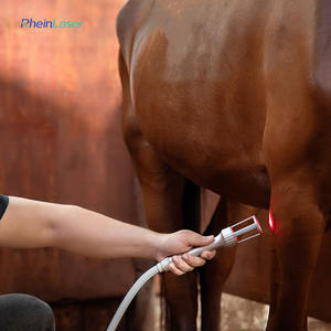 La machine vétérinaire de physiothérapie de thérapie de laser de la cure 810nm 980nm pour des animaux réduisent la douleur et l'inflammation - Product Image 5