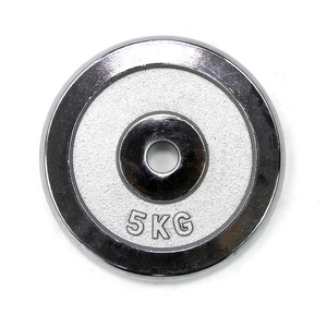 Fitness Dumbbell Barbell Disc Placas de peso estándar de hierro fundido con acabado cromado de 1 pulgada - Product Image 5