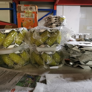 Rueda Mecanum de Aleación de Aluminio para Robot NM305A, Capacidad de Carga de 3 Toneladas, Rueda Mecanum de 305 mm, Capacidad de 3 Toneladas para <span class=keywords><strong>AGV</strong></span> - Product Image 2