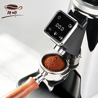Moulin à café électrique Sifei en acier inoxydable élégant pour la maison et le café, faible bruit, broyeur de grains réglable, trémie transparente portable 750g
