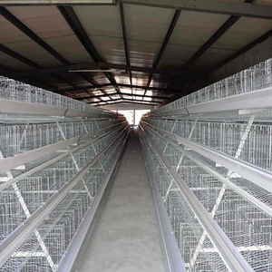 Attrezzatura per gabbia a batteria a strato di pollo per uccelli che depongono uova gabbie per animali di pollame - Product Image 1