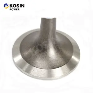 Fast Delivery Wholesale Machinery Diesel Parts 4065481 QSK60 Engine Exhaust Valve