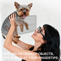 Gafas Inteligentes con IA, Cámara HD de 800W, Traducción en Tiempo Real, Llamadas Bluetooth, Ultraligeras, Grabación de Video