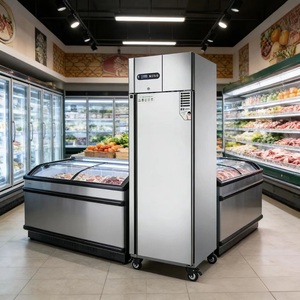 Rebirth Stainless Steel Vertical Double Door Commercial Refrigerator & <b>Freezer</b> With Air Cooling Energy Efficient RVE, RVF, RVD S - Product Image 1