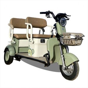 Triciclo de 2 Plazas para Personas Mayores, Bicicleta Eléctrica de 3 Ruedas - Product Image 1