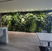 Mur végétal artificiel, décoration murale végétale, fausses plantes vertes, fleurs et herbes en plastique, pour salon intérieur et pelouse extérieure