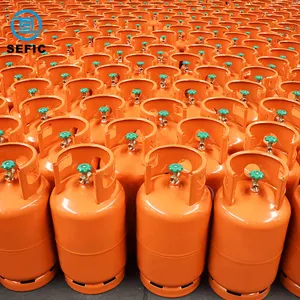 Direkt verkauf ab Werk 12,5 kg Wieder verwendbare LPG-Flaschen Flüssiggas flasche LPG-Stahl-Gasflaschen tank