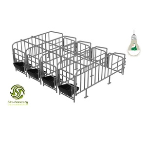 Gabbia <span class=keywords><strong>per</strong></span> Gestazione Suini, <span class=keywords><strong>Recinto</strong></span> <span class=keywords><strong>per</strong></span> Allevamento Suini - Product Image 2