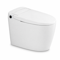 Toilette intelligente professionnelle avec chauffage de siège et télécommande incluse, double chasse d'eau, à poser au sol, pour les marchés mondiaux