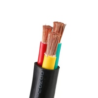 Câble d'alimentation en cuivre gainé de PVC isolé de PVC 2x10mm 2x16mm 3x35mm Câble électrique basse tension