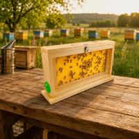 Boîte d'observation des abeilles en bois avec panneaux acryliques double face et aérations – Observatoire apicole pour cadres de ruche