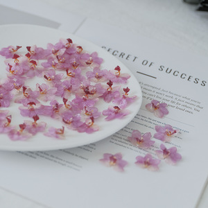 Bất Khô Đầu Hoa Tự Làm Nhựa Phalaenopsis Hoa Lan Hoa Đinh Thành phần Cho Bông Tai - Product Image 5