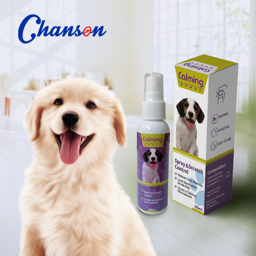 Chien violet