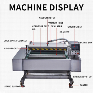 Máquina de Envasado al Vacío Automática con Cinta Transportadora Continua Externa Industrial Eléctrica DZ-1000 Ruian para Alimentos, Películas y Papel - Product Image 3