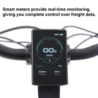 TXED Best Seller Vélo Électrique Urbain Cargo 48V 250W avec Moteur Arrière, Cadre en Alliage, Écran LCD, 7 Vitesses, pour Livraison de Repas