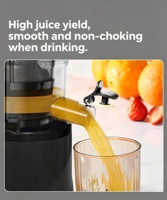 Industriële koude pers sapcentrifuge met stalen auger, multifunctioneel voor gember, wortel en ander fruit, geschikt voor restaurants en commerciële verwerking.