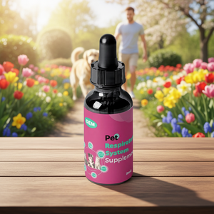 Suplemento Herbal de Raíz de <span class=keywords><strong>Regaliz</strong></span> Breathe EZ de Animal Essentials para Perros y Gatos, 1 Onza Líquida, Apoya la Salud Inmunológica y Respiratoria - Product Image 6