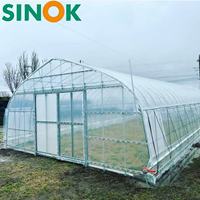 Serre tunnel monocouche Sinok 10*30 pour tomates, ensemble complet, structure galvanisée à chaud haute résistance pour la culture de tomates