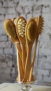 Brosse de bain exfoliante pour corps, brosse de massage naturelle, détachable, exfoliante, massage - Product Image 5