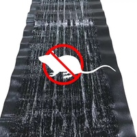 Piège à rat de souris jetable design moderne panneau de souris adhésif domestique panneaux collants produit