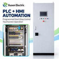 Panneau de commande de démarreur de moteur électrique clé en main avec double démarreur progressif, programmation PLC HMI, câblage et tests en usine