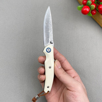 Couteau pliant en acier Damas, couteau de poche portable pour le camping et les fruits, couteau utilitaire de haute dureté, emballage en boîte