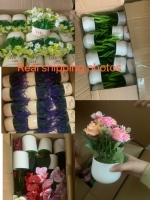 Tanaman Bunga Plum Miniatur Lima Daun Buatan dengan Pot Plastik untuk Dekorasi Rumah Dalam Ruangan, Hiasan Jendela, Ornamen, Bestseller Lintas Negara