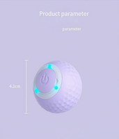 Jouet interactif automatique d'intérieur OEM ODM pour chats et chiens, stimule l'instinct de chasse avec une balle auto-mobile, soulage l'ennui