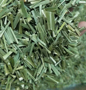 100% النقي عشب الليمون العشبية الشاي المجففة الليمون يترك - Product Image 5