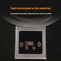 Four électrique, cuisinière électrique en céramique, barbecue encastrable, usage commercial et domestique, multifonctionnel concave