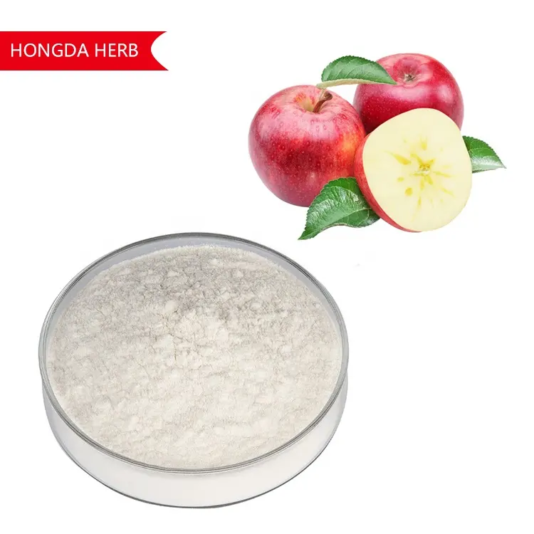 cGMP Factory Supply Apple Vinegar Powder 10% Natural Apple Cider Vinegar Powder