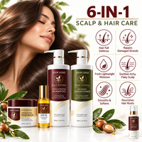 Ensemble de soins capillaires de luxe à l'huile d'argan, sans sulfate, hydratant, sans cruauté, shampooing, après-shampooing, traitement capillaire, protéines naturelles, kératine