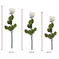 Großhandel Konservierte Rote und Weiße Langstielige Echte Rosen Ewige Blumen für Immer Haltend Valentinstag Geschenkblumen