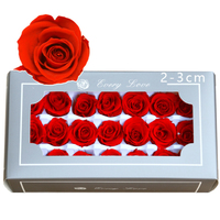 Tête de Rose Préservée Naturelle de 2 à 3cm, Tête de Rose Préservée, Diamètre de 2 à 3cm, Nouvelle Arrivée