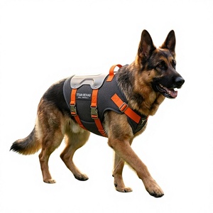 Soporte Ortopédico Moderno <span class=keywords><strong>para</strong></span> <span class=keywords><strong>Perros</strong></span>, Arnés de Soporte Espinal, Alivio del Dolor, Recuperación Postoperatoria de Disco Intervertebral, Chaleco Duradero - Product Image 1
