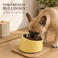 Bol incliné en acier inoxydable pour animaux de compagnie avec texture diamantée pour chiens et chats à mowque courte, plusieurs options de capacité, couleur et logo personnalisables