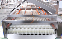Parallelle borstelrol wasmachine voor tomaten, courgettes, komkommers, aubergines, aardappelen en wortelen.