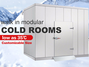 Nhỏ Mini Modular Trái Cây Và Rau Cá Điện Thoại Di Động Lạnh Thương Mại Đi Bộ Trong Máy Làm Lạnh Phòng Lạnh Tủ Đông - Product Image 6