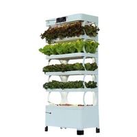 Nouveau système hydroponique intelligent et écologique pour légumes et fleurs, pots et jardinières de jardin
