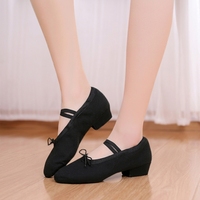 BW08 Chaussures de danse à talons souples pour femmes, chaussures de danse folklorique classique professionnelles pour adultes, chaussures d'entraînement pour professeurs de danse