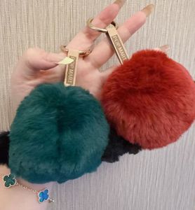 2025 JC Skullpanda Winter Symphony Series Mystery Blind Box Figurines en peluche au design aléatoire, jouets de collection à l'échelle 1/12, décoration - Product Image 6