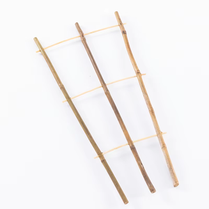 Échelle en <span class=keywords><strong>bambou</strong></span> à 4 niveaux, treillis naturel et écologique pour plantes potagères grimpantes, clôtures et portails - Product Image 3