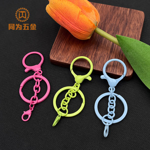 Llaveros Personalizados Pintados a Color con Cierre de Langosta, Accesorios de Anillo para Llaves de Aleación de Zinc, Estilo Minimalista, Portátiles, Venta al por Mayor - Product Image 3