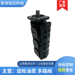 ปั๊มไฮดรอลิกสามเกียร์ Shengzhou Hydraulics รุ่น JHP สำหรับแท่นขุดเจาะแรงดันสูง สำหรับเครื่องจักรก่อสร้าง - Product Image 4