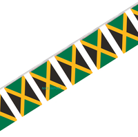 Guirlande de mini-drapeaux d'Haïti pour la décoration de fêtes scolaires, salles de classe et événements sportifs