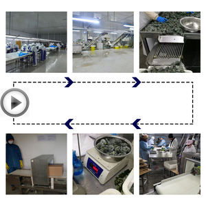 Chino limpio fresco congelado vegetal IQF congelado <span class=keywords><strong>espinaca</strong></span> cortada picada 10mm - Product Image 3