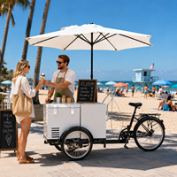 Chariot à glaces mobile en métal personnalisé, tricycle à glaces avec parasol