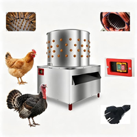 Plumeuse à volaille en acier inoxydable pour poulets et dindes