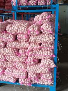 Aglio biologico sbucciato di alta qualità bianco fresco cinese aglio biologico alla rinfusa per uso alimentare - Product Image 2