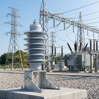 Penangkal Lonjakan Seri YH5W/6kV/9kV 10kA